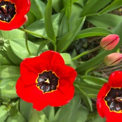 Stefan. / MicroMinimal House