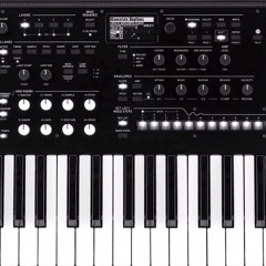 SYNTH WIDOW WALTZ.wav