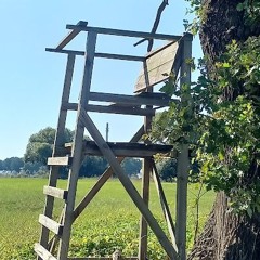 PODCAST 3  ESCUCHAR DESDE LA TRASCENDENCIA "Al azar hacer sonar un nombre junto al otro"