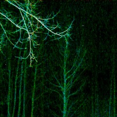 light green prod. mimo + bonxpf + rossxo