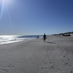 no frowns :) (flexistan)