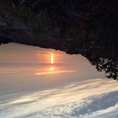 OEBO (sejerøbåndet) Edit