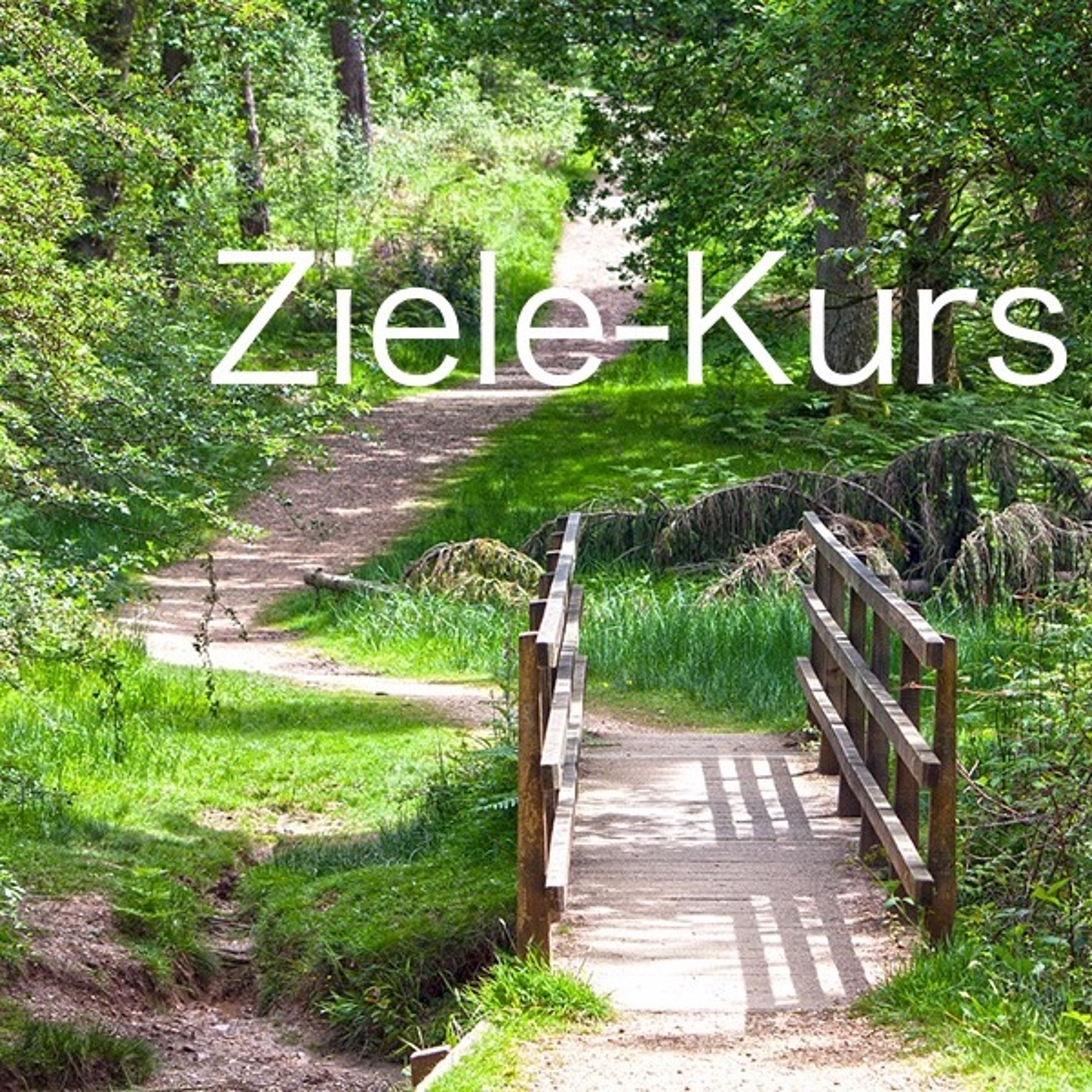 Seelentraum | Meditation | Coaching