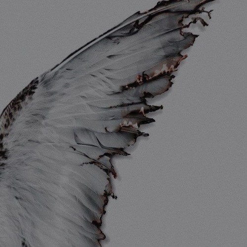𝙚𝙨𝙘𝙖𝙥𝙚 𝙩𝙤 𝙙𝙚𝙖𝙙𝙨𝙝𝙚𝙡𝙩𝙚𝙧