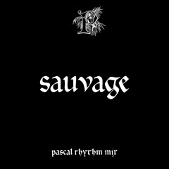 PARAISOMIX011 - Sauvage 'Pascal Rhythm Mix'