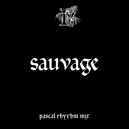 PARAISOMIX011 - Sauvage 'Pascal Rhythm Mix'