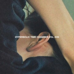 HYPERBOLIC TIME CHAMBER VOL. XVII
