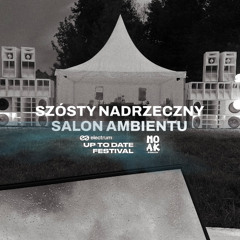 Szósty Nadrzeczny Salon Ambientu - Vi