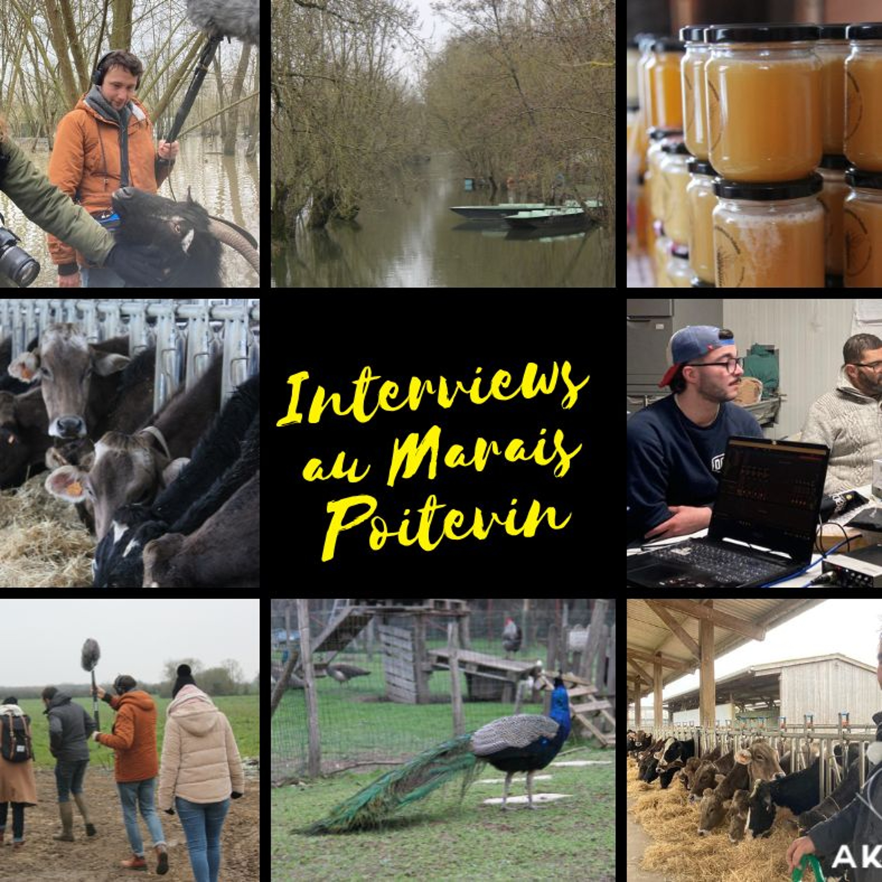 Les podcasts d\'Akken