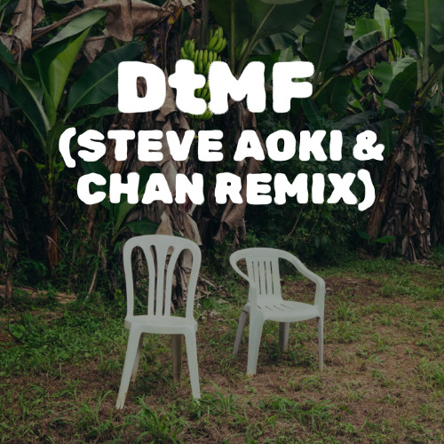 DtMF (Steve Aoki x Chan Remix)