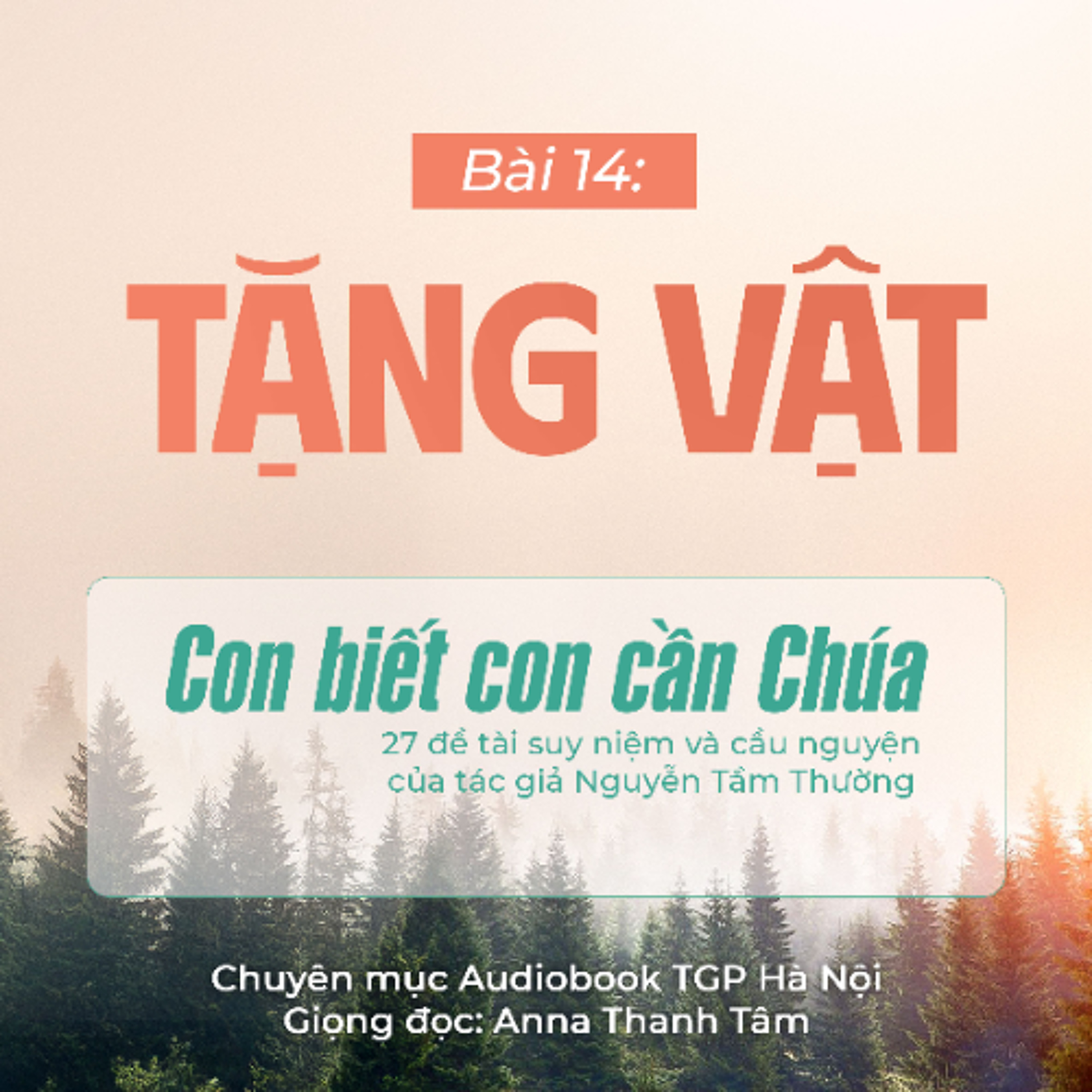 #14 Tặng vật || Con biết con cần Chúa || Tác giả Nguyễn Tầm Thường