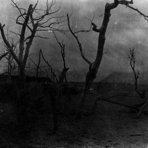 Left Alone... - ...and Blood Flowed Down The Street