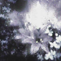 hollow voices
