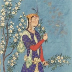 Aghrabe Zolfe Kajet - عقرب زلف کجت