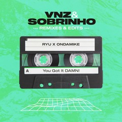 Ryu X Ondamike - You Got It DAMN! (Sobrinho & VNZ Mashup)