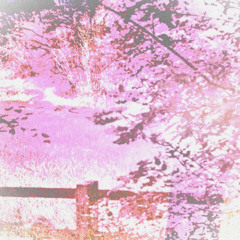 Angel (with India Alice)