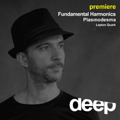 premiere: Fundamental Harmonics - Plasmodesma (Lepton Quark Records)
