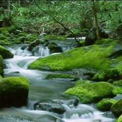 TELERYDE_STREAM LOVE FT. MICHAEL MENHERT_ INI RMX [Sutured]