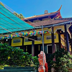 Nước Mắt Muộn Màng - Tiktok Remix