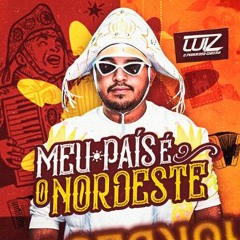 Zezo - Meu Cenario - FORROZINH