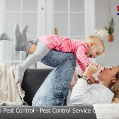 Pest Control Service In Cranberry Twp PA