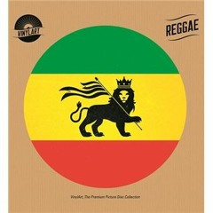 Mix Raggatek Hardtek Vinyl - Vico