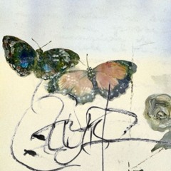 A Butterfly Passing Through A Shroud [Dub/Deep House Mix]