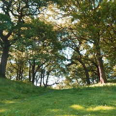 Videogame/Production Music Portfolio