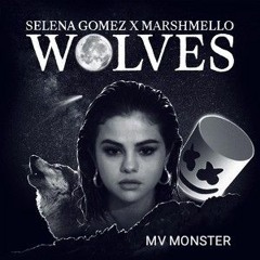 WOLVES Remix -  Selena Gomez ,Marshmello