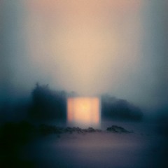 Just Big Hills - The Swarms