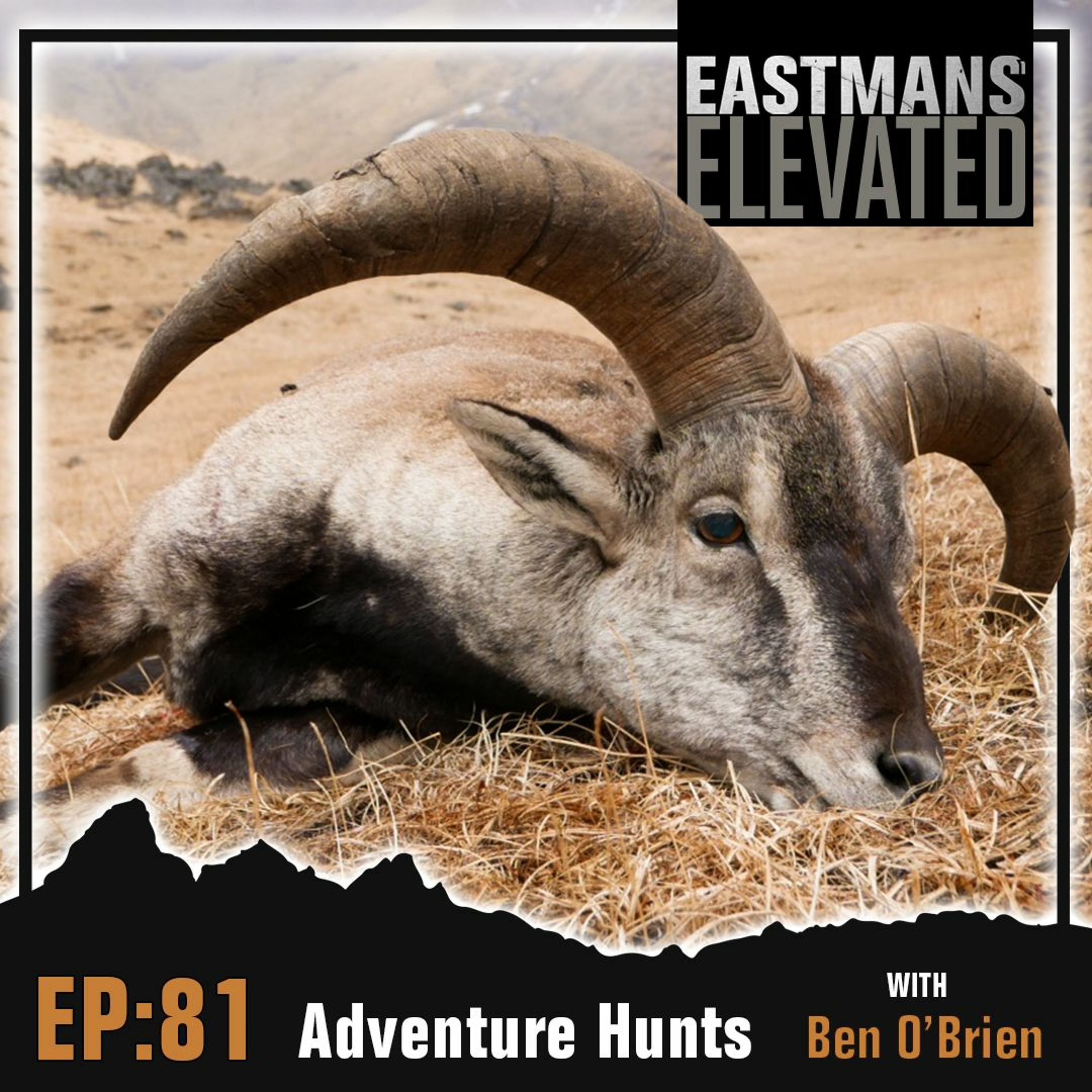 Eastmans\' Elevated