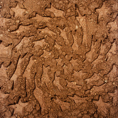 Off Road (unerthed)