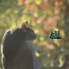 when your favorite cat will help you thru