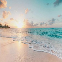 Destination's Summer Vibez Mix