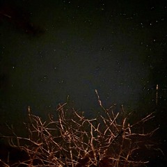 Wallpaper by Marco Lucchi Rework Henrik Meierkord