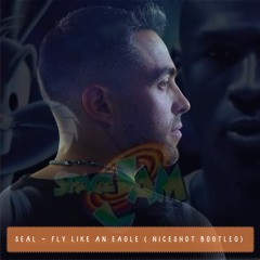 FREE DOWNLOAD: Seal - Fly Like An Eagle (Niceshot Bootleg)