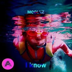 Moolkz - I Know (Original Mix) [Extended]