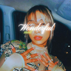 WONDERFUL x MEL