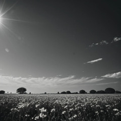 walking through the field
