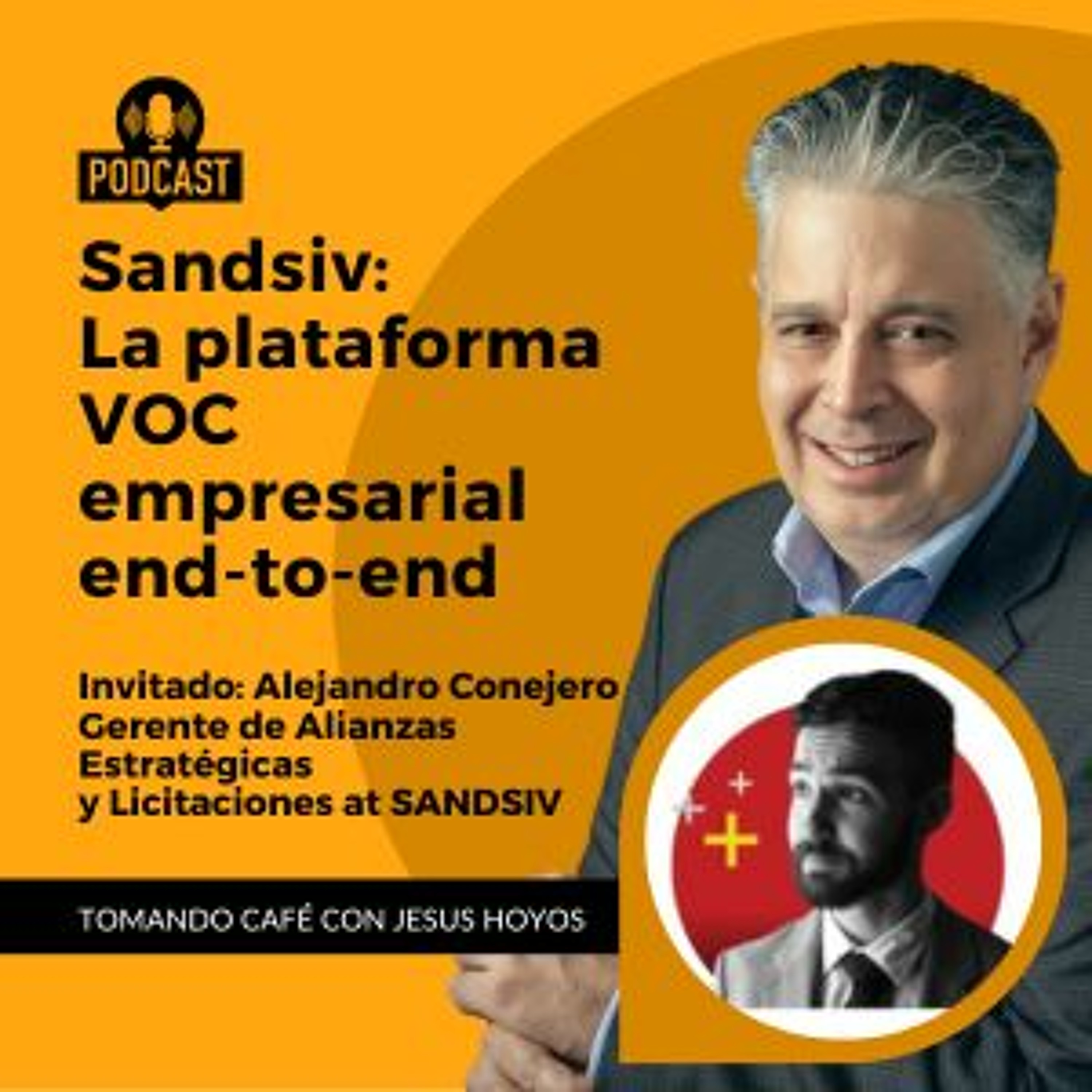 Sandsiv: La Plataforma VOC Empresarial