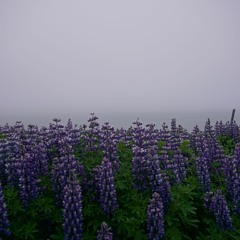 Mental raw techno / Iceland / HÁTÍÐNI music festival  / 1.07.23