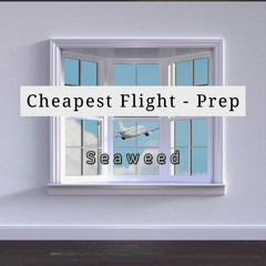 Cheapest Flight - Prep (cover with guitar)