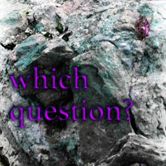 which question?