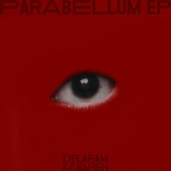 Premiere : Delaram Kamareh - Parabellum (Sakuro Remix) [Wannabe A Frog Records]