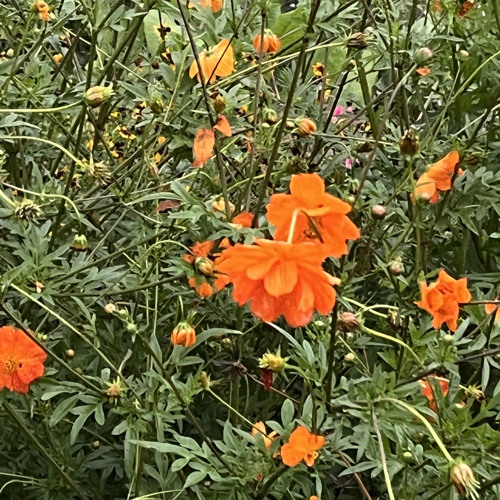 September