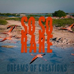 Dreams of Creations - So So Rare - TPC 422