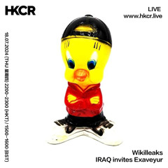 Wikilleaks IRAQ invites Exaveyur - 18/07/2024