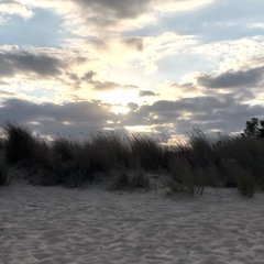 Cosmic Waves 2024 Downtempo Set
