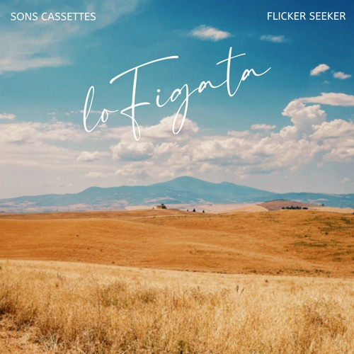 Sons Cassettes &  Flicker Seeker - Lofigata