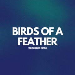 Billie Eilish - BIRDS OF A FEATHER (The NGHBRS Remix)